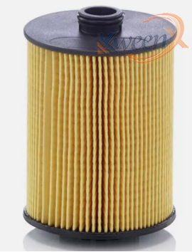 oil filter-958-95810722210