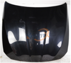bonnet-F10-41617207194