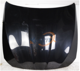 bonnet-F10-41617207194