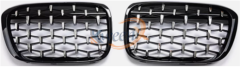 diamond grille-G11