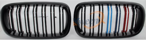 front grille double line M-color-F15