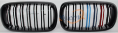 front grille double line M-color-F15