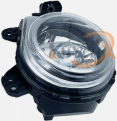 fog lamp-F15-63177317251/252