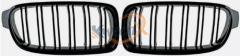 front grille double line-F30
