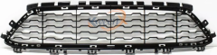 front bumper net-F20-51118060284