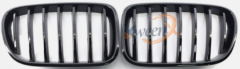 front grille single line1-F25