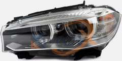 xenon head lamp-F15-63117317109/110