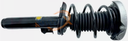 front shock absorber-F30-31316874373/374