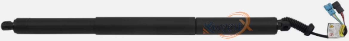 tailgate strut-F48-51247481807