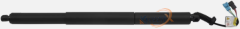 tailgate strut-F48-51247481807