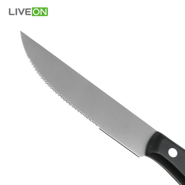 Plastic Handle Stainless Steel Serrated Steak Knife