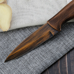 3.5'' Retro coating knife