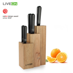 Reddot design award 6pcs hollow handle kitchen knife set with wooden block