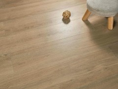 Bristol Wood Grain：represents a pinnacle of innovation in surface finishing technology