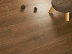 Bristol Wood Grain：represents a pinnacle of innovation in surface finishing technology