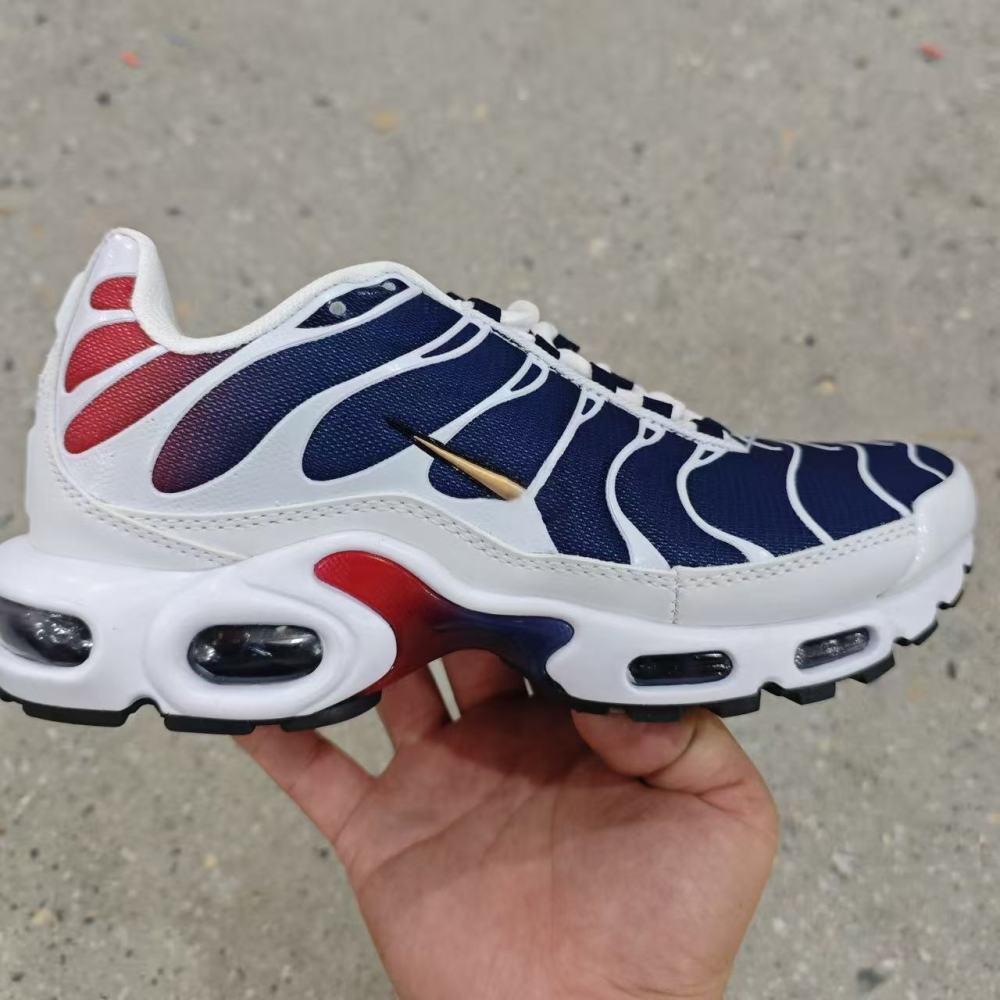 Air Max plus With shoe box