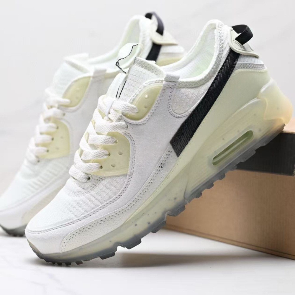 terr90  With shoe box