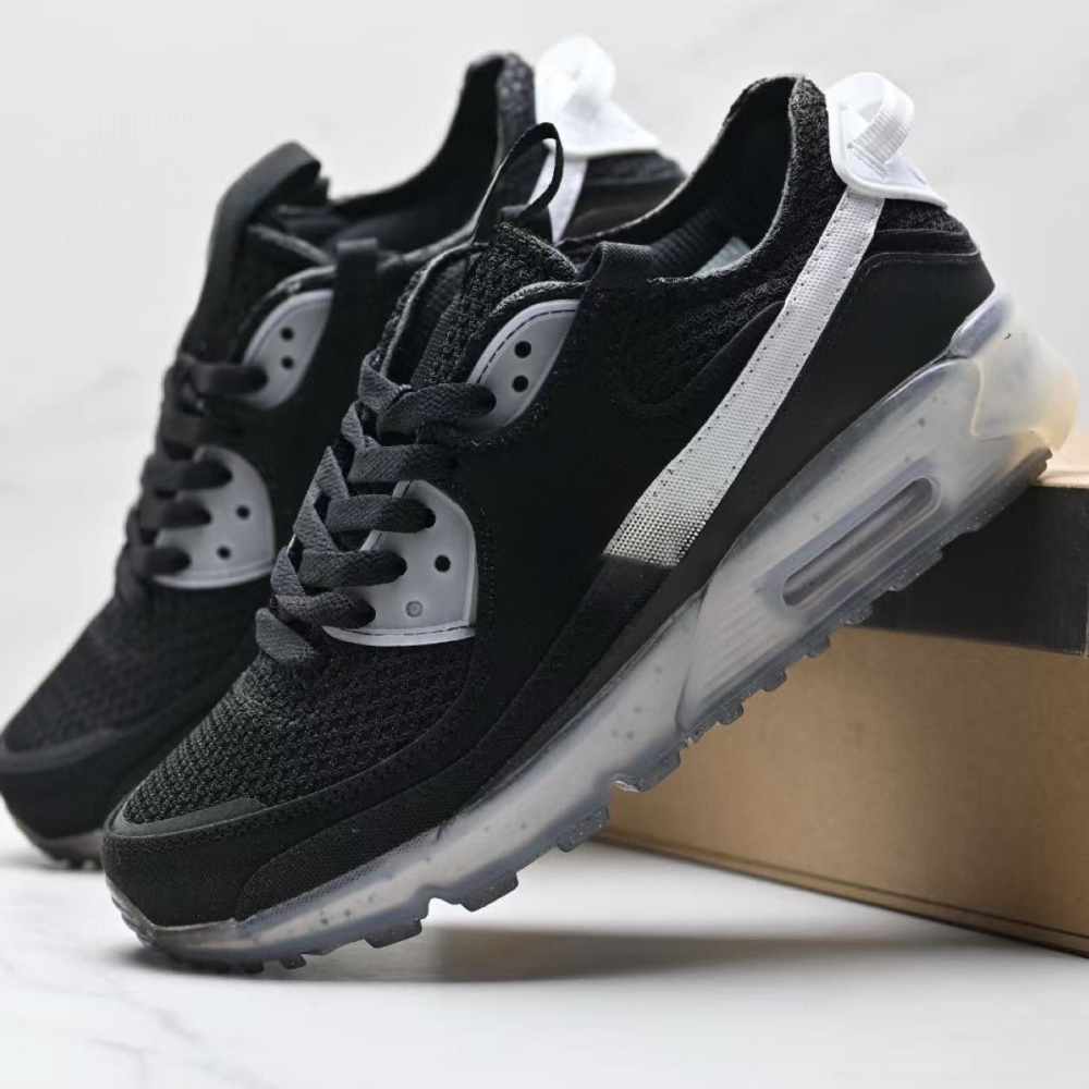 terr90  With shoe box