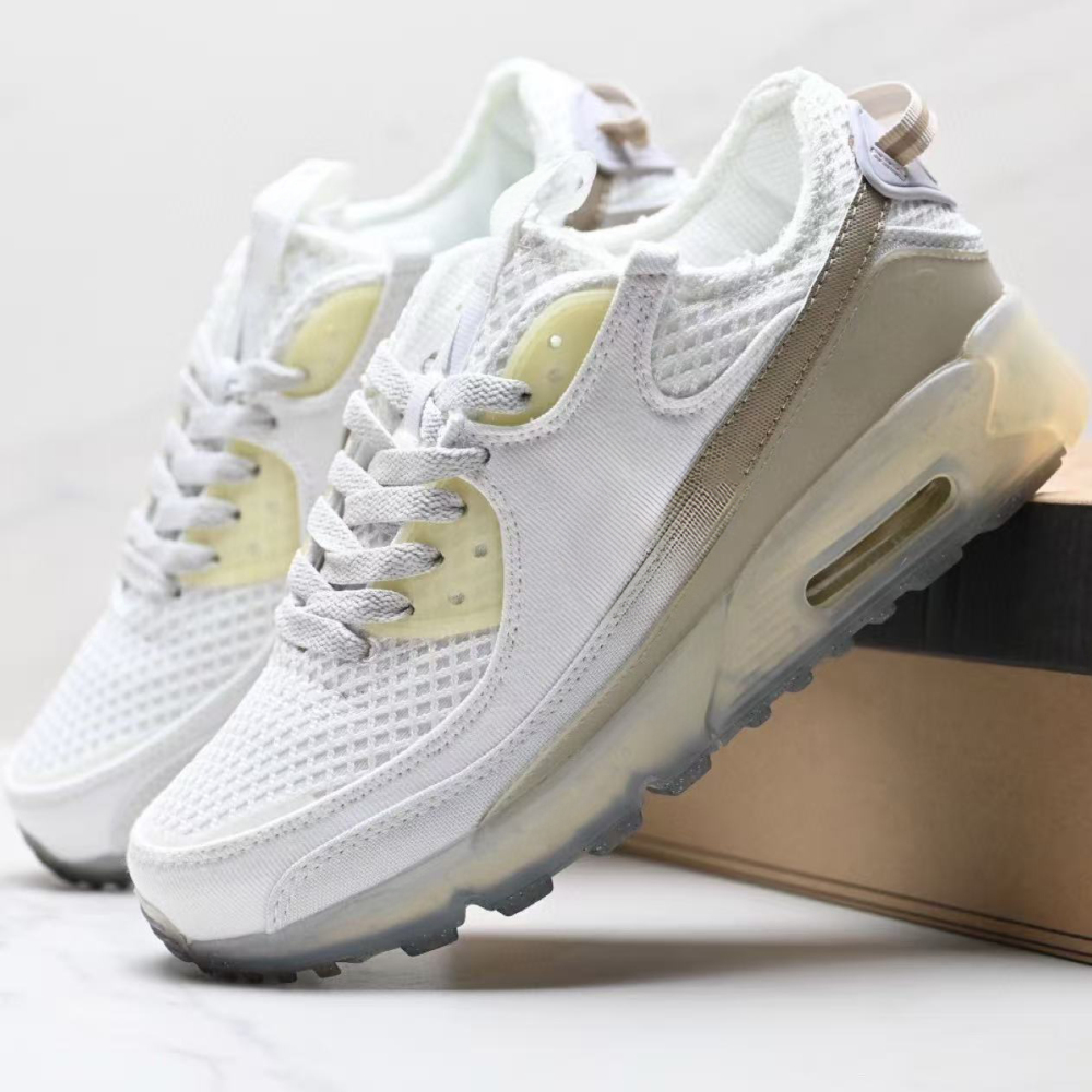 terr90  With shoe box