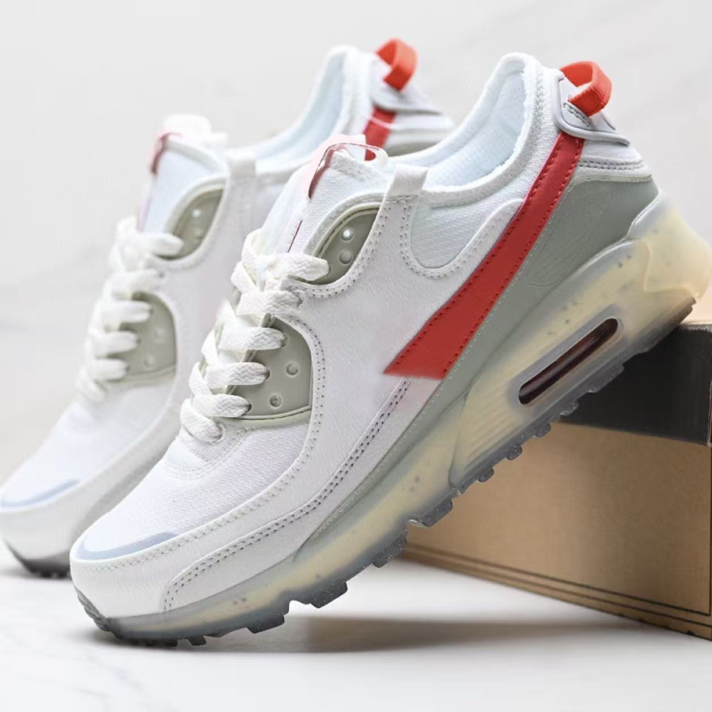 terr90  With shoe box