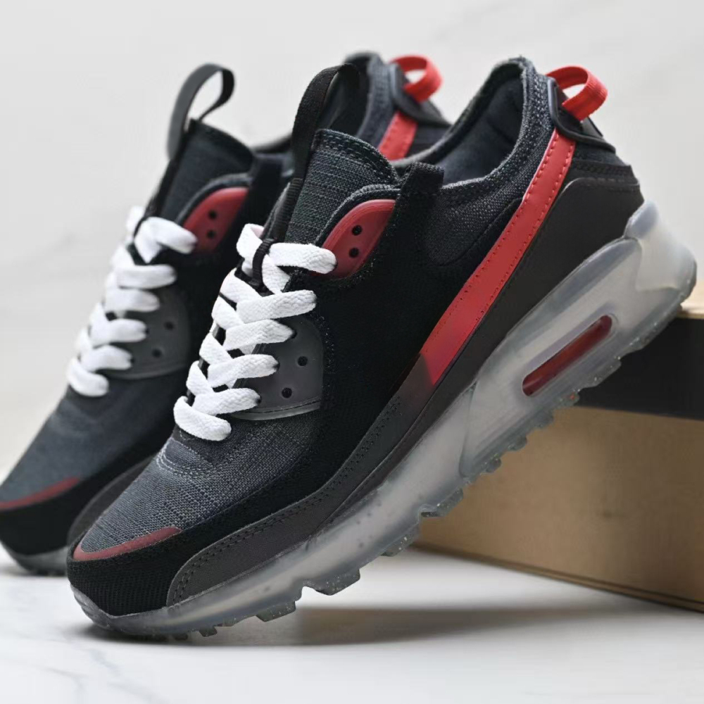terr90  With shoe box