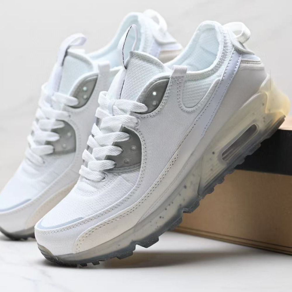 terr90  With shoe box