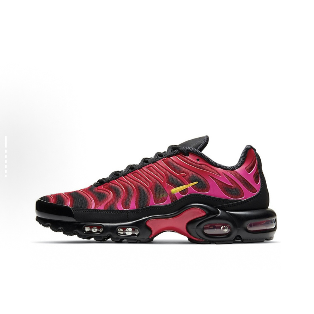 Air Max plus With shoe box
