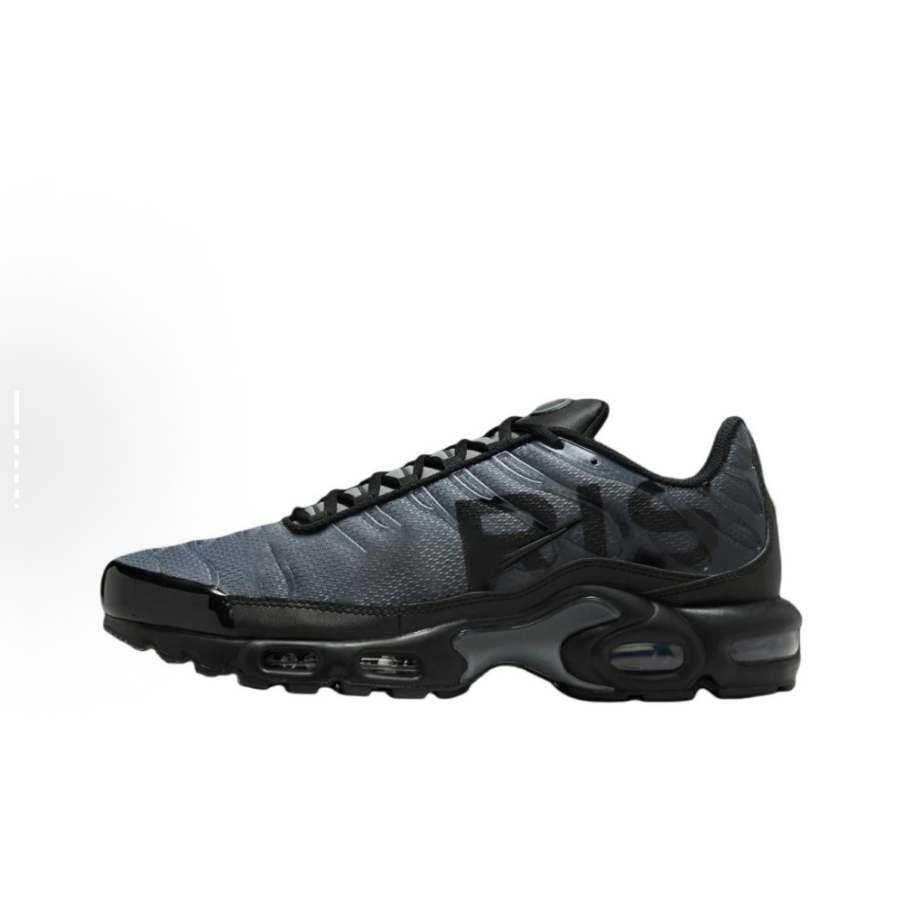 Air Max plus With shoe box