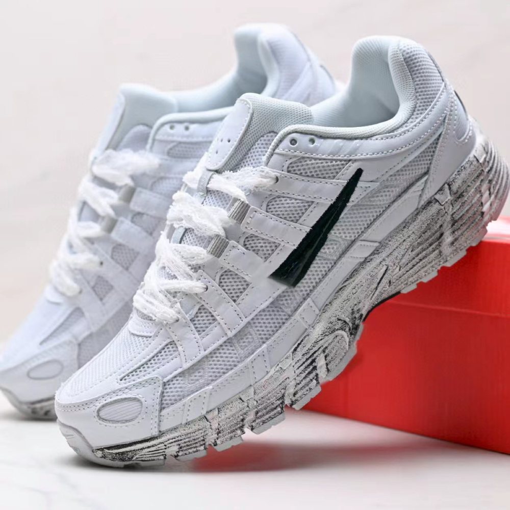 P6000 With shoe box