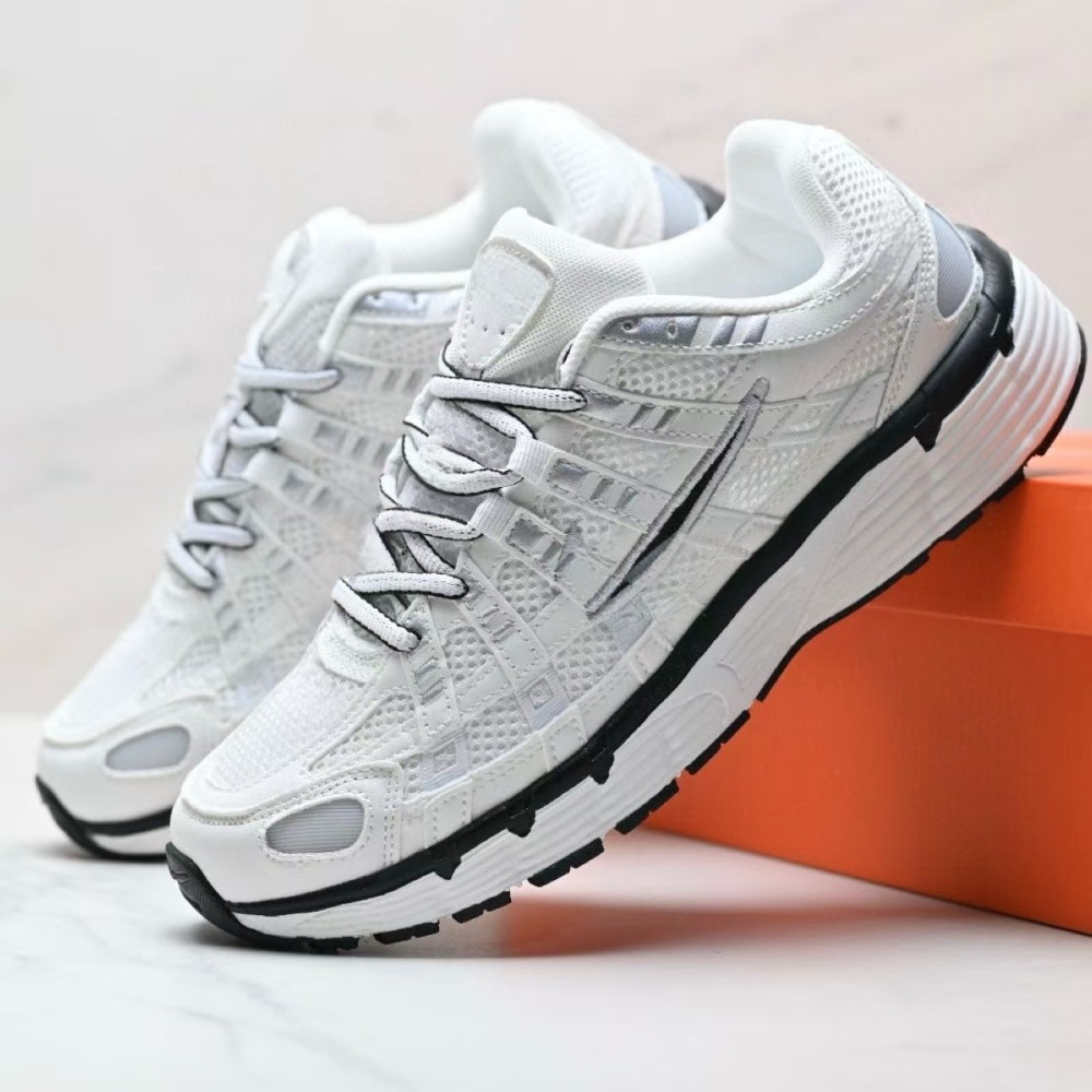 P6000 With shoe box