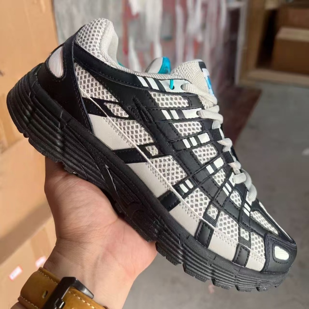 P6000 With shoe box