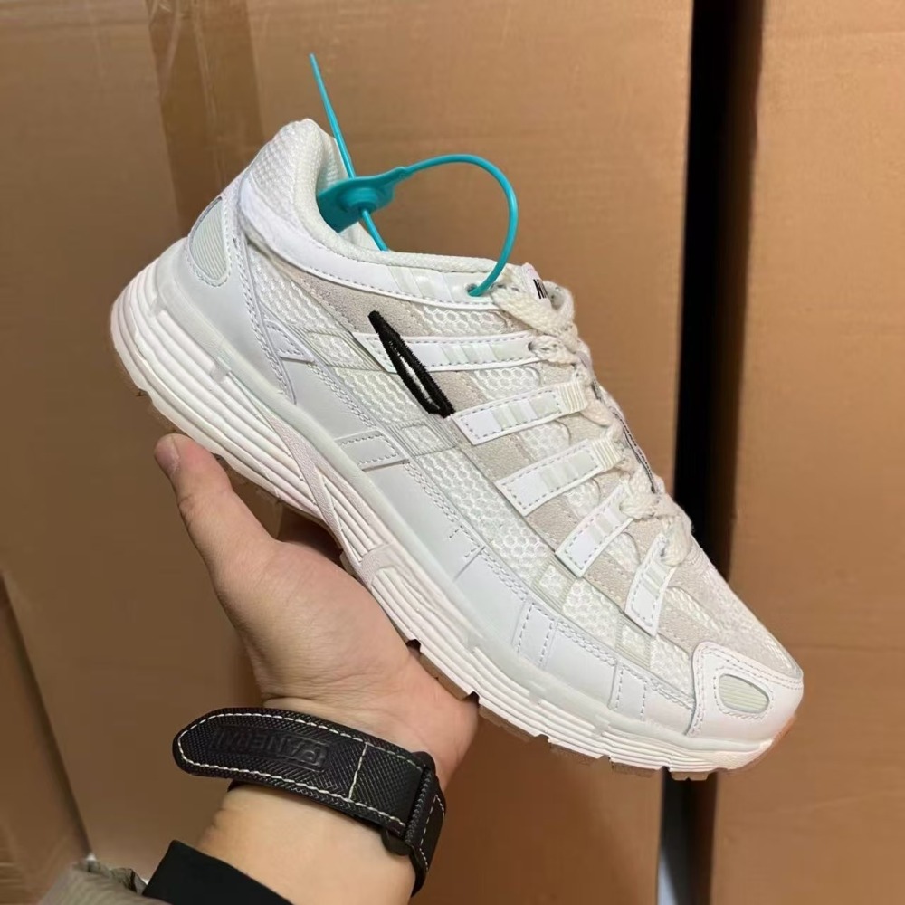 P6000 With shoe box