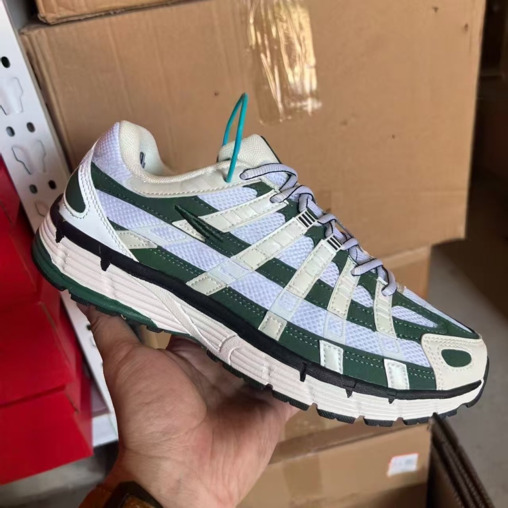 P6000 With shoe box