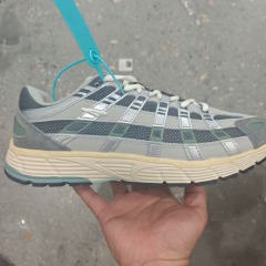 P6000 - Grey Silver