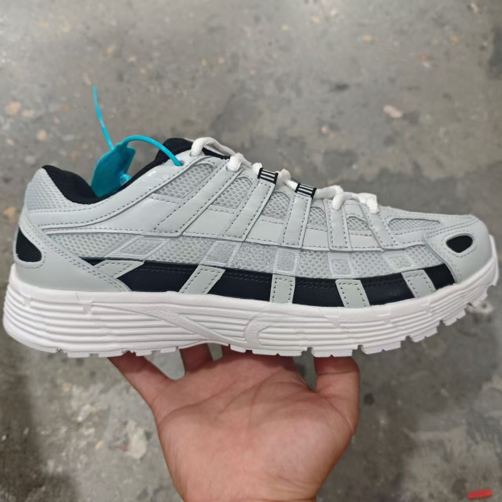 P6000 With shoe box