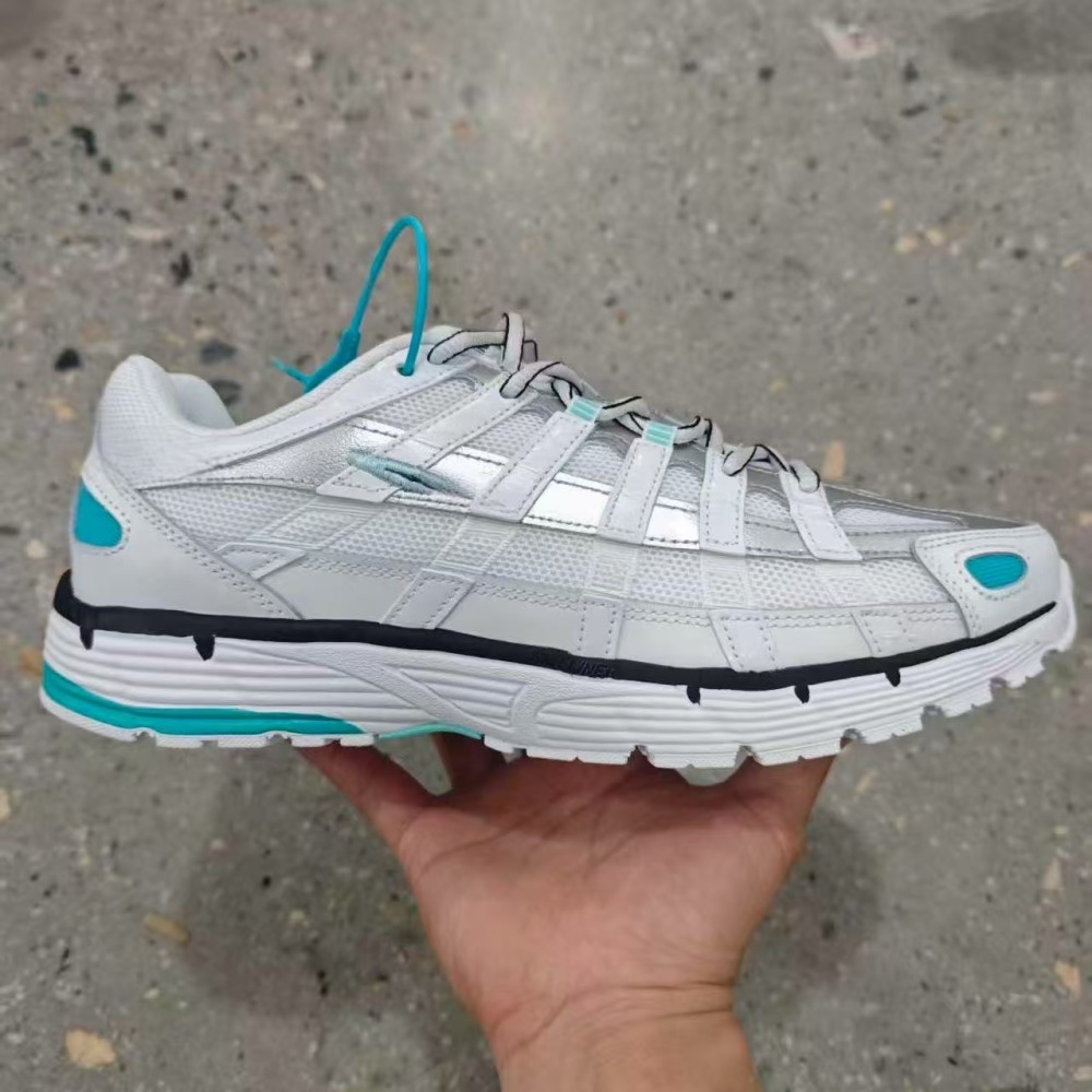 P6000 With shoe box
