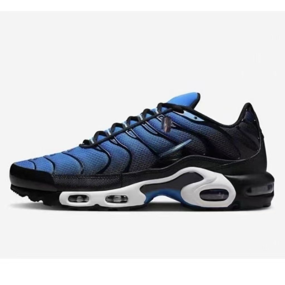 Air Max plus With shoe box
