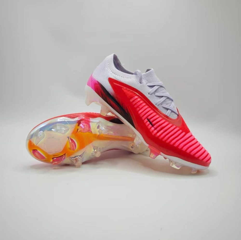 Ph 6 With shoe box