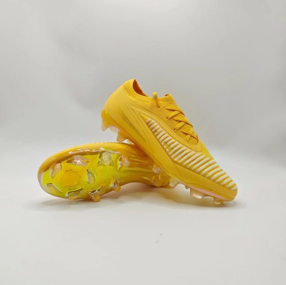 Ph 6 With shoe box