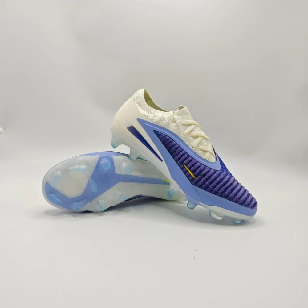 Ph 6 With shoe box