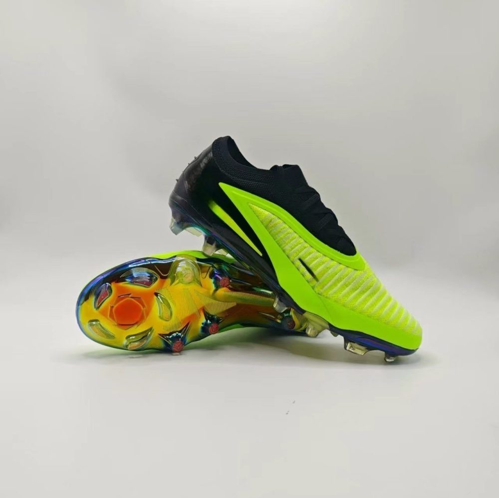 Ph 6 With shoe box