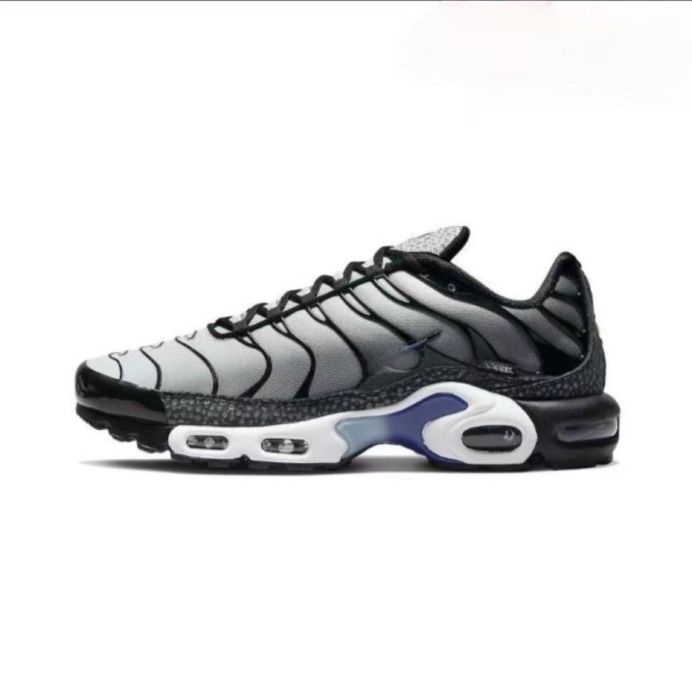 Air Max plus With shoe box