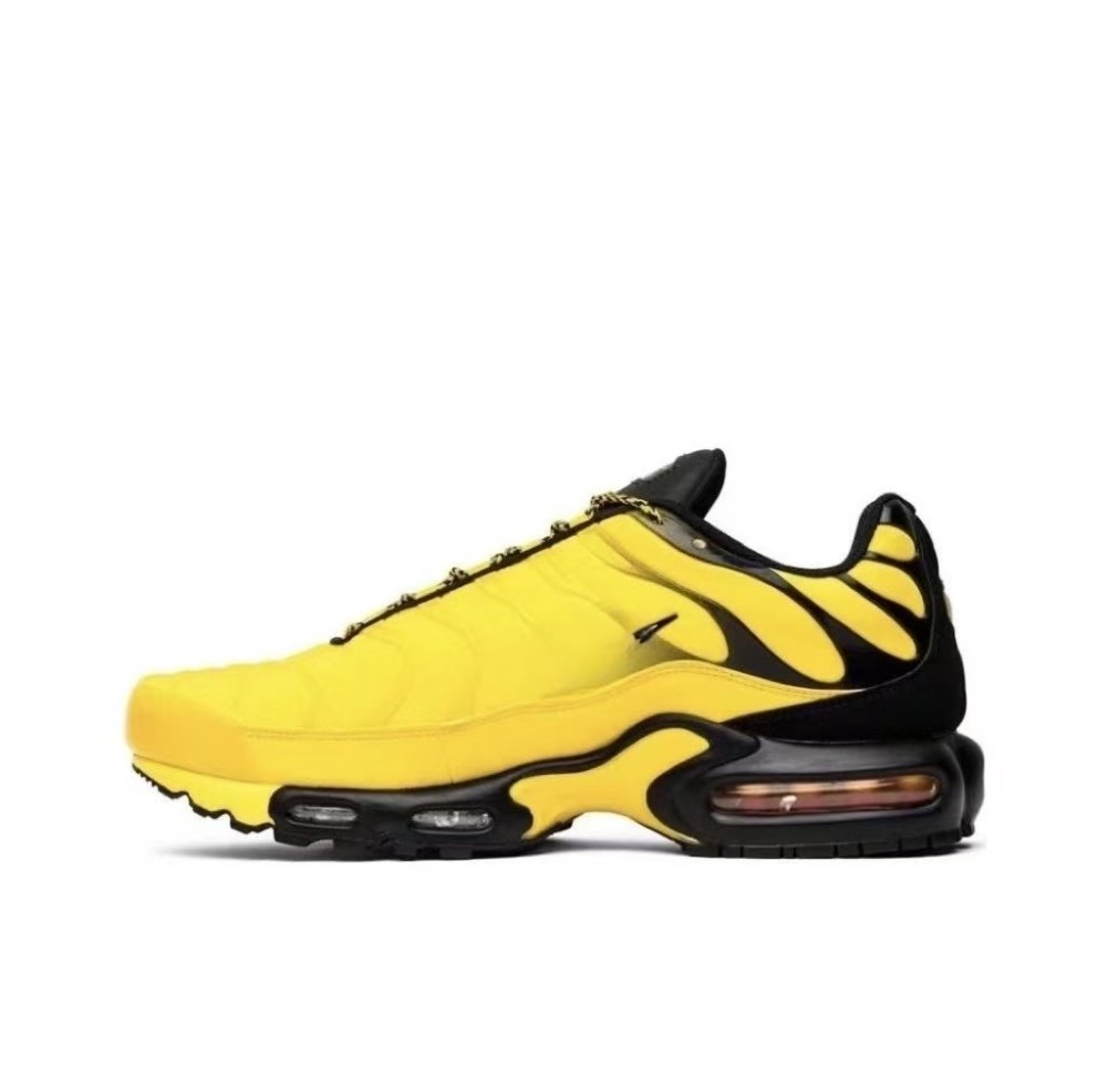 Air Max plus With shoe box