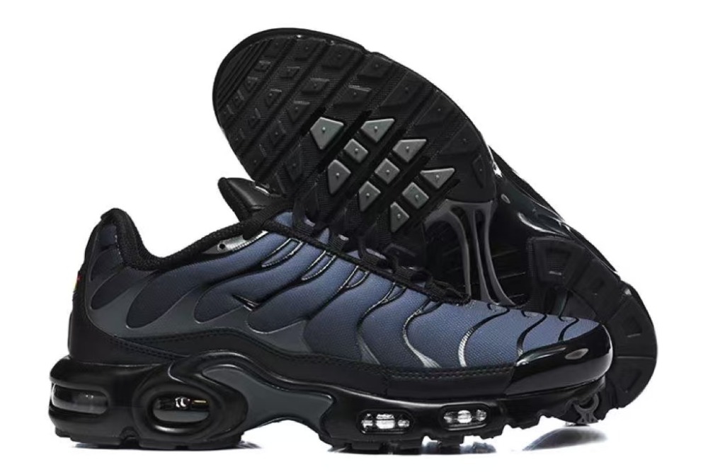 Air Max plus With shoe box