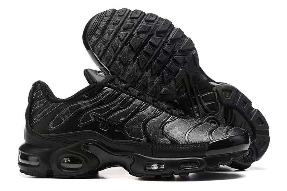 Air Max plus With shoe box