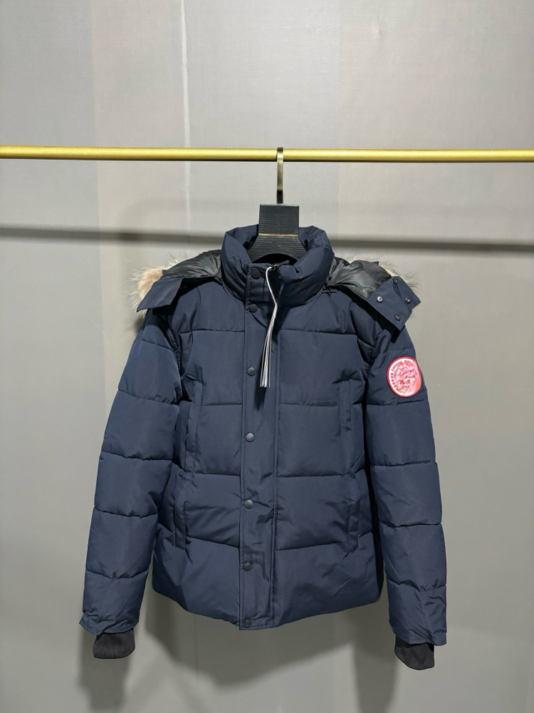 AN01