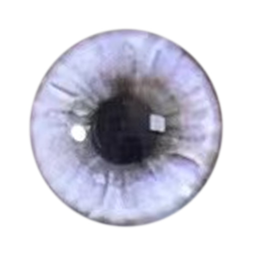 Eye color 1