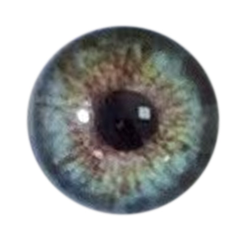 Eye color 3