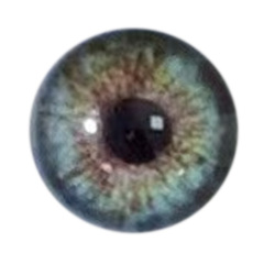 Eye color 3