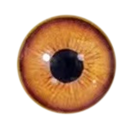 Eye color 4